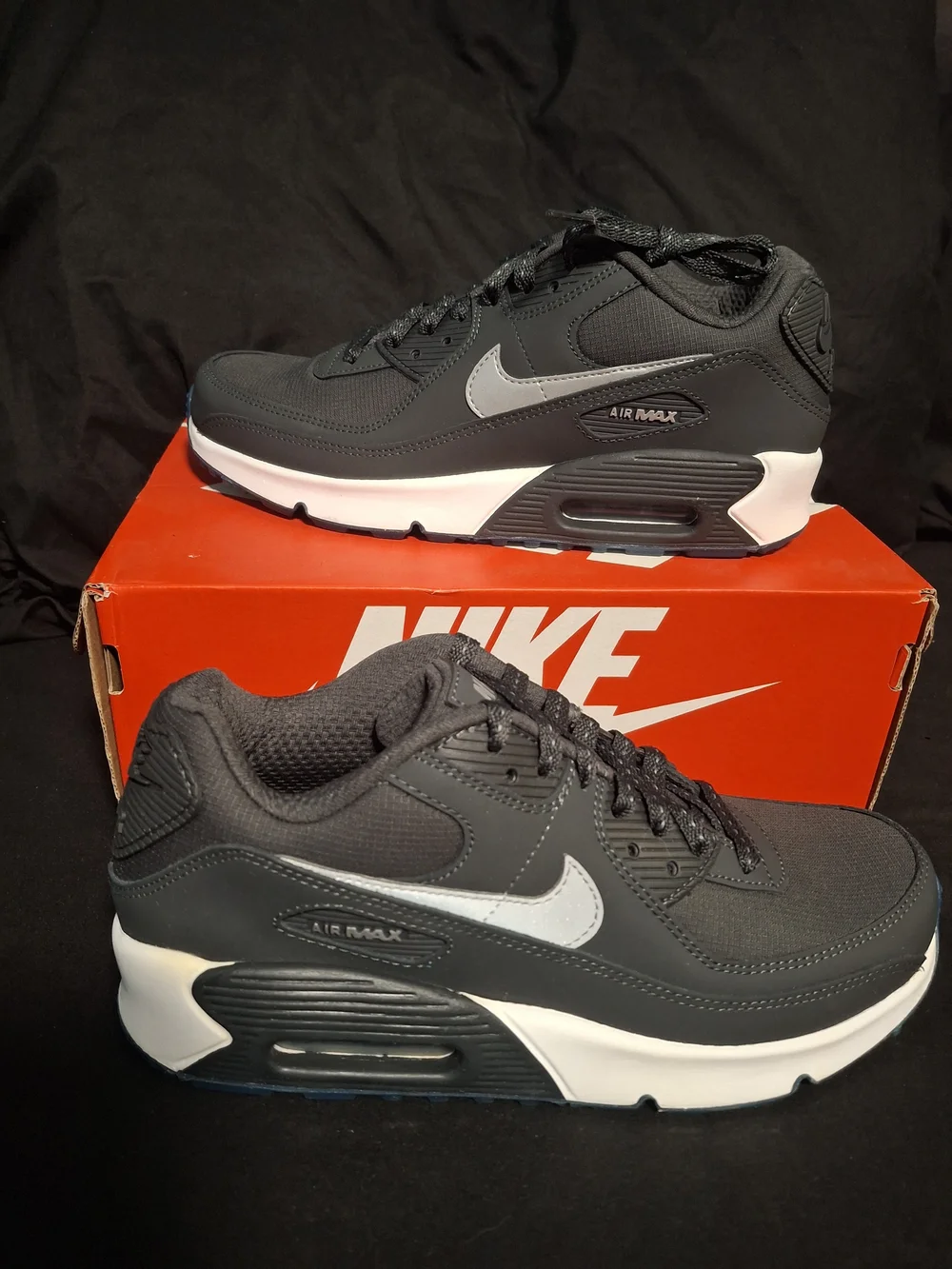 Nike Air Max Low Top Sneakers in Black and White